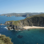 aroeira