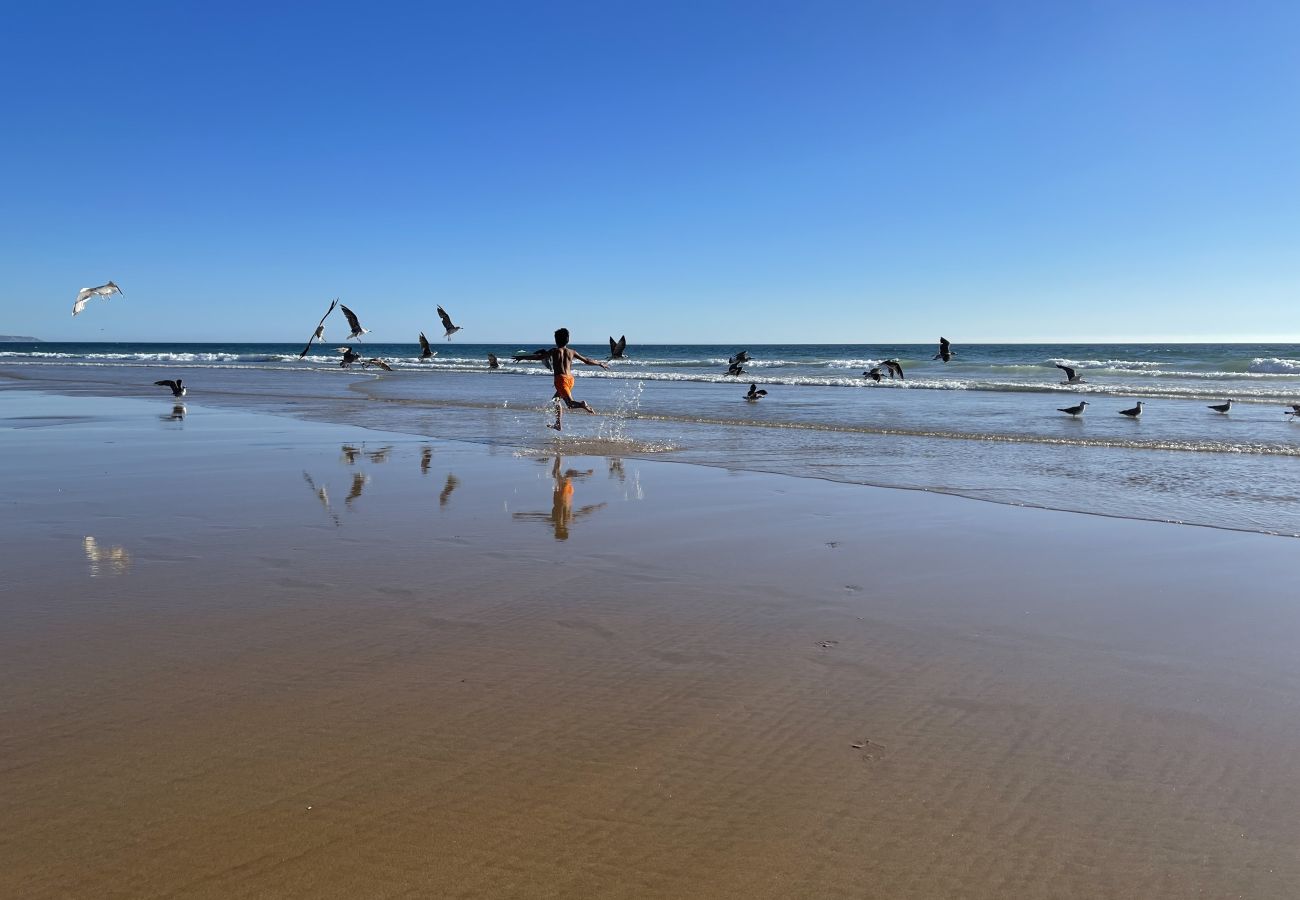 Villa in Herdade da Aroeira - Villa da Oliveira