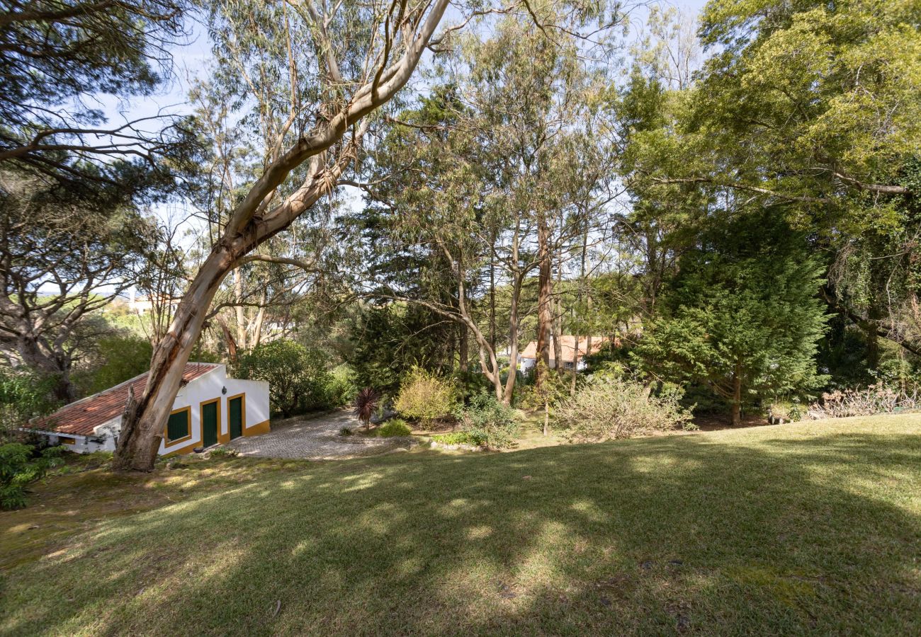 House in Azeitão - Quinta dos Pinheiros Mansos - Serra d´Arrábida