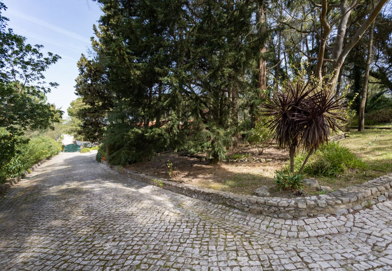 House in Azeitão - Quinta dos Pinheiros Mansos - Serra d´Arrábida