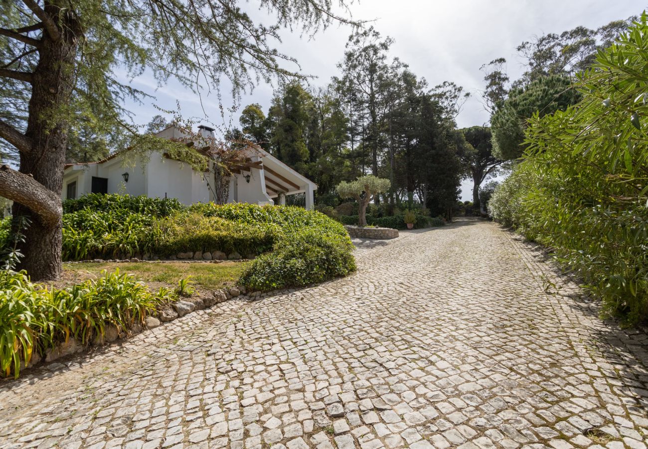 House in Azeitão - Quinta dos Pinheiros Mansos - Serra d´Arrábida