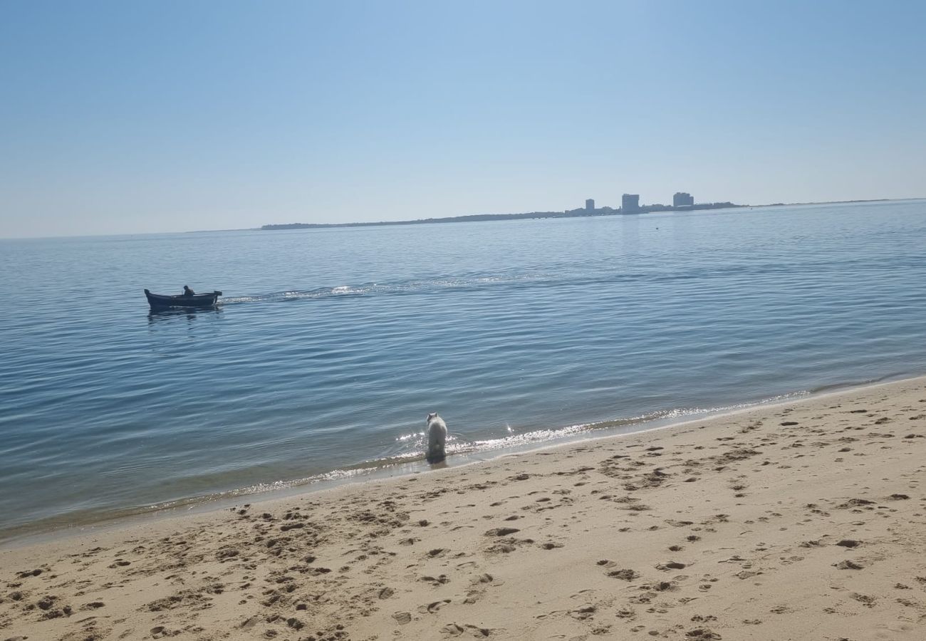 Apartment in Setúbal - Praia da Saude