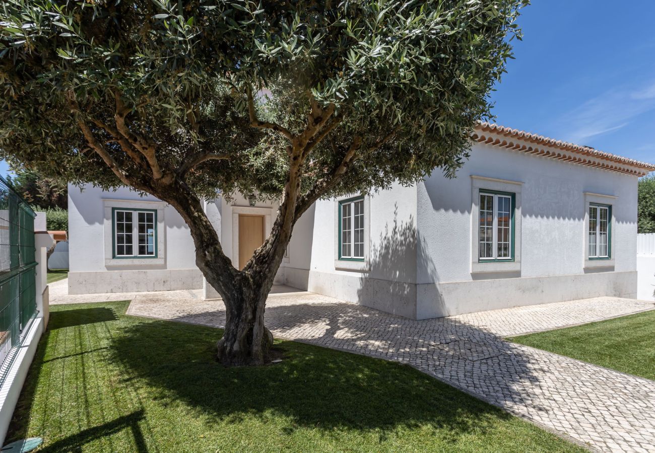 House in Azeitão - Casa Das Azeitonas