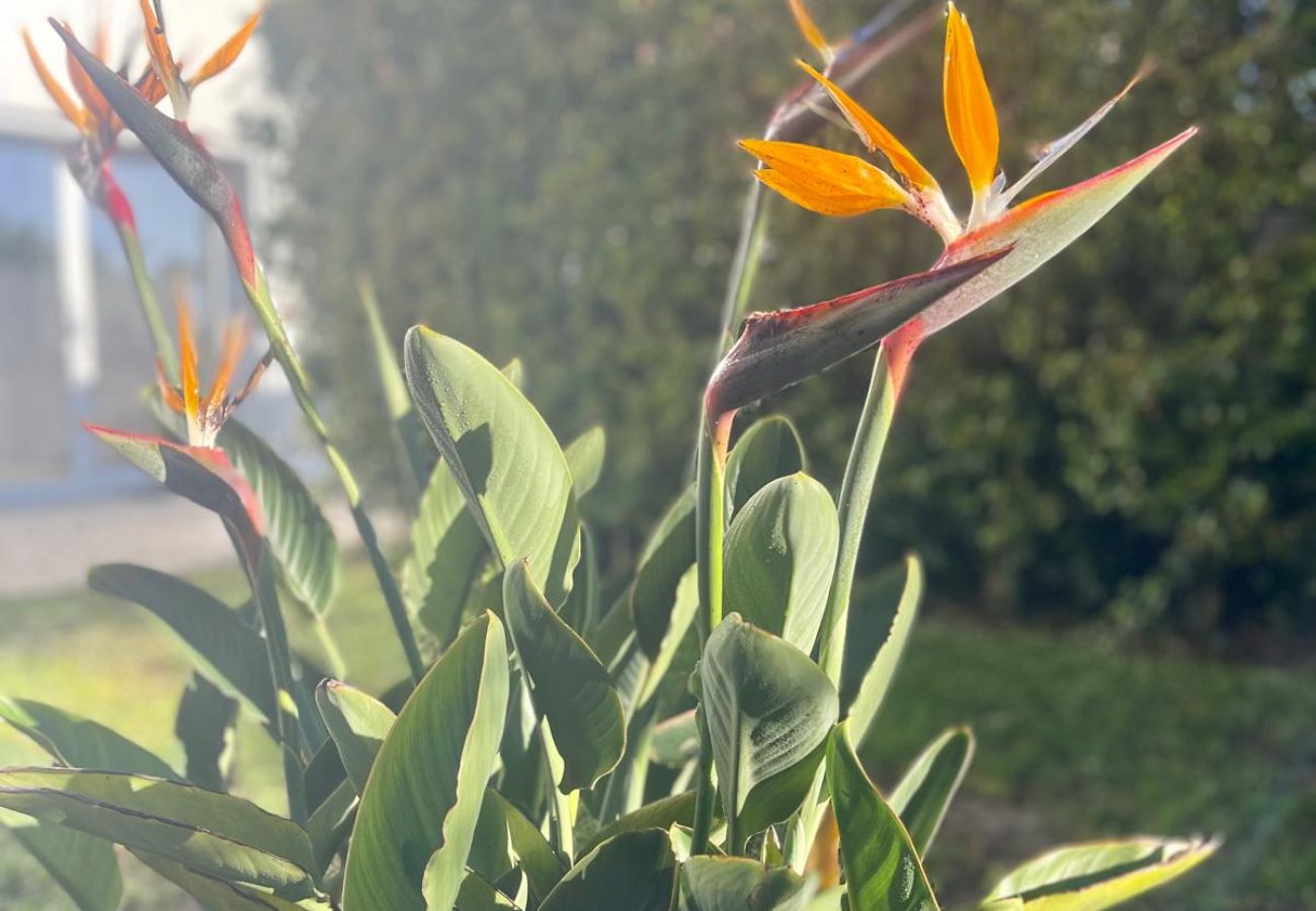 Villa in Aroeira - Cabo Oeste