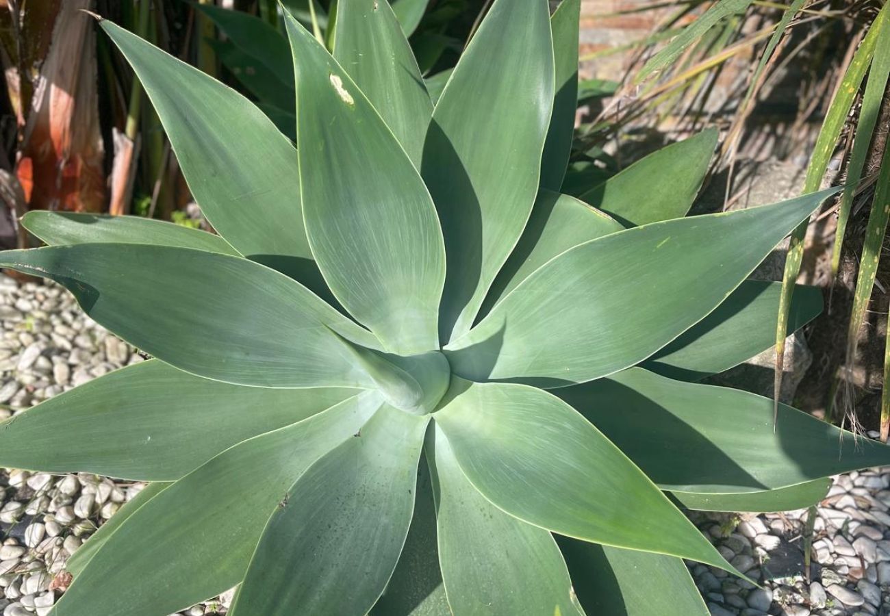 Villa in Aroeira - Cabo Oeste