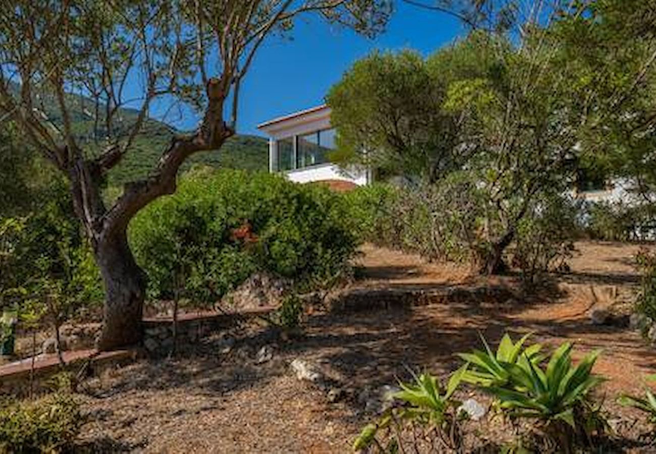 House in Azeitão - Casa d'Aroeira