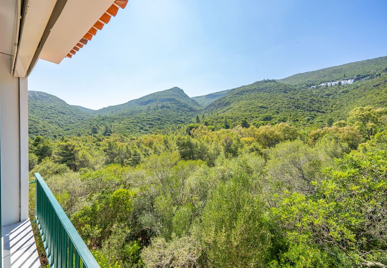 House in Azeitão - Casa d'Aroeira