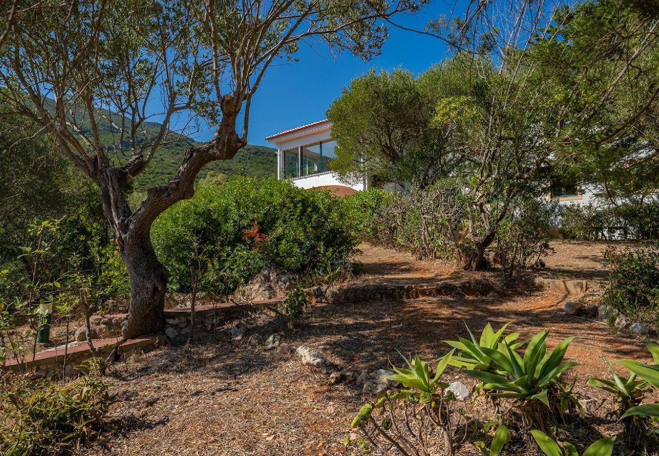 House in Azeitão - Casa d'Aroeira