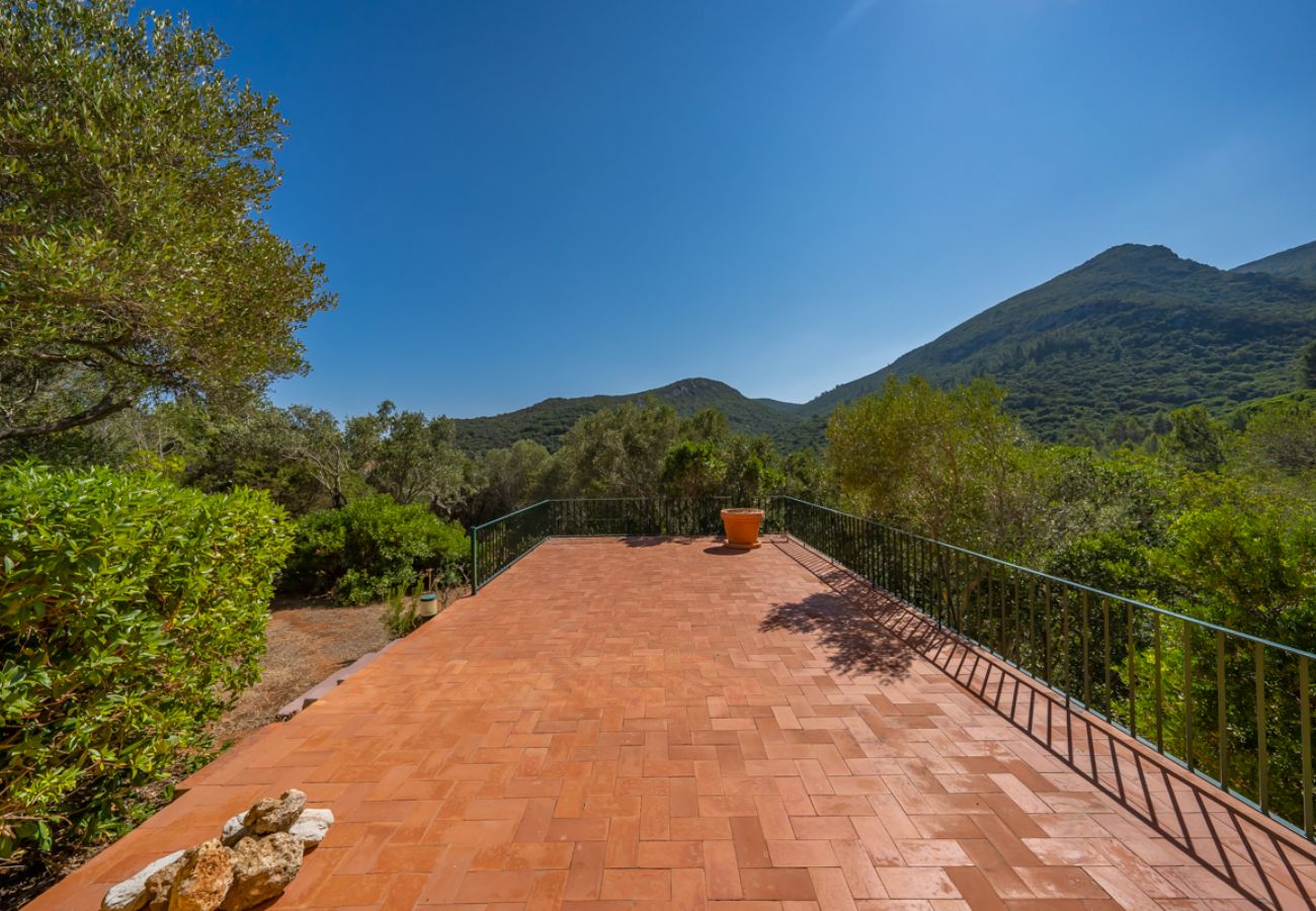 House in Azeitão - Casa d'Aroeira