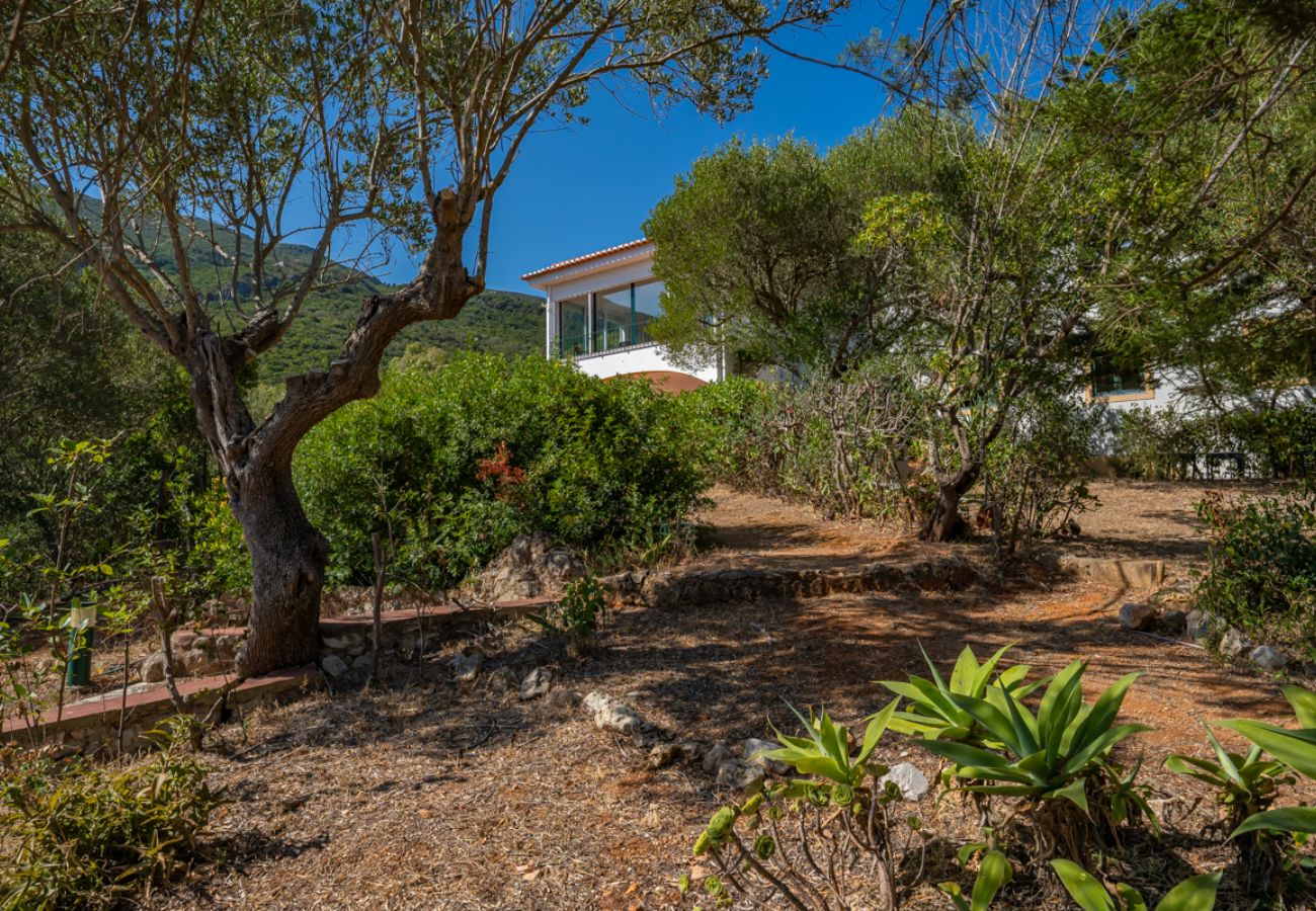 House in Azeitão - Casa d'Aroeira