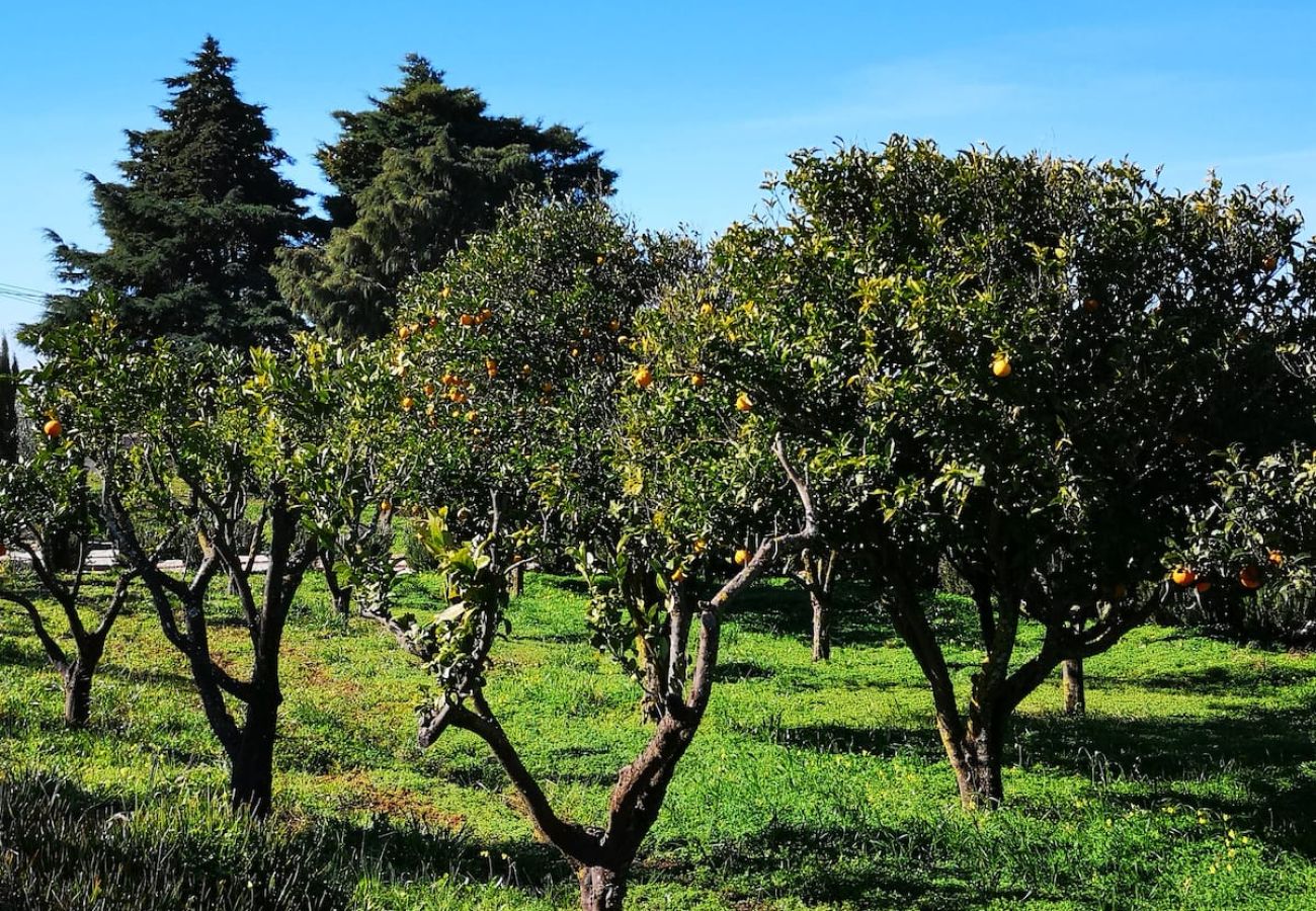 House in Azeitão - Quinta Nova