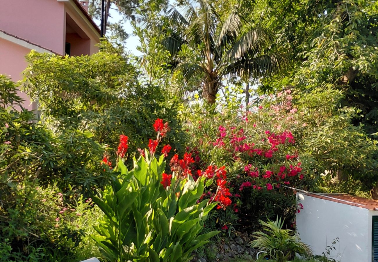 Villa in Azeitão - Quinta da Ermitage