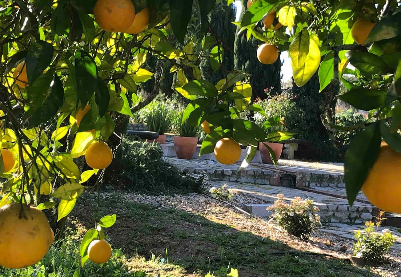 Maison à Azeitão - Quinta Nova