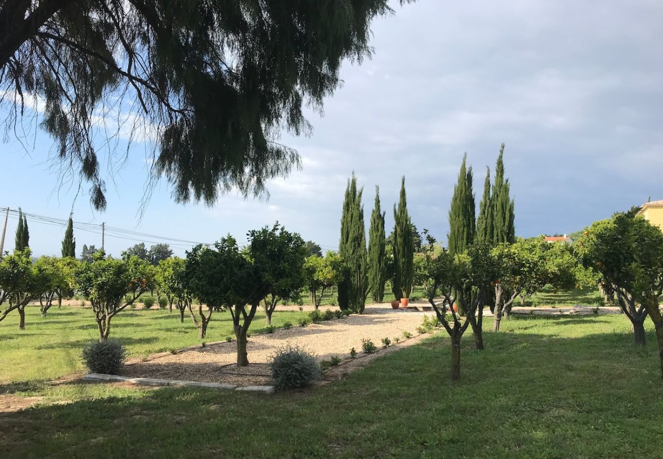 Maison à Azeitão - Quinta Nova