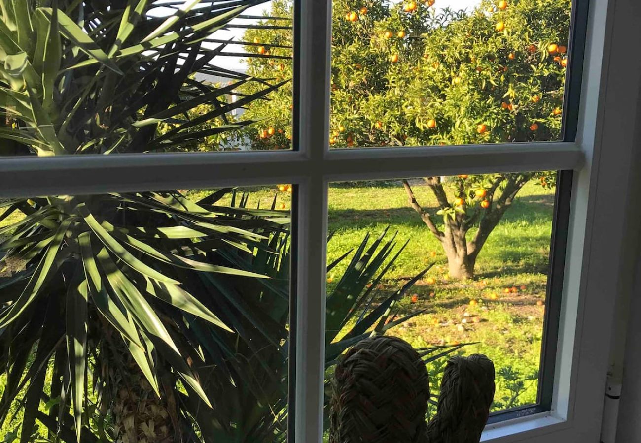 Maison à Azeitão - Quinta Nova