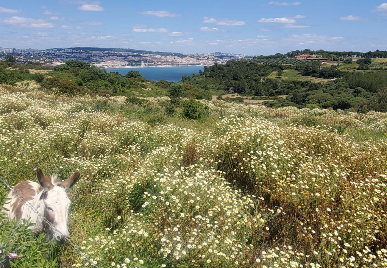 Villa à Trafaria - Villa Tagus Guardians