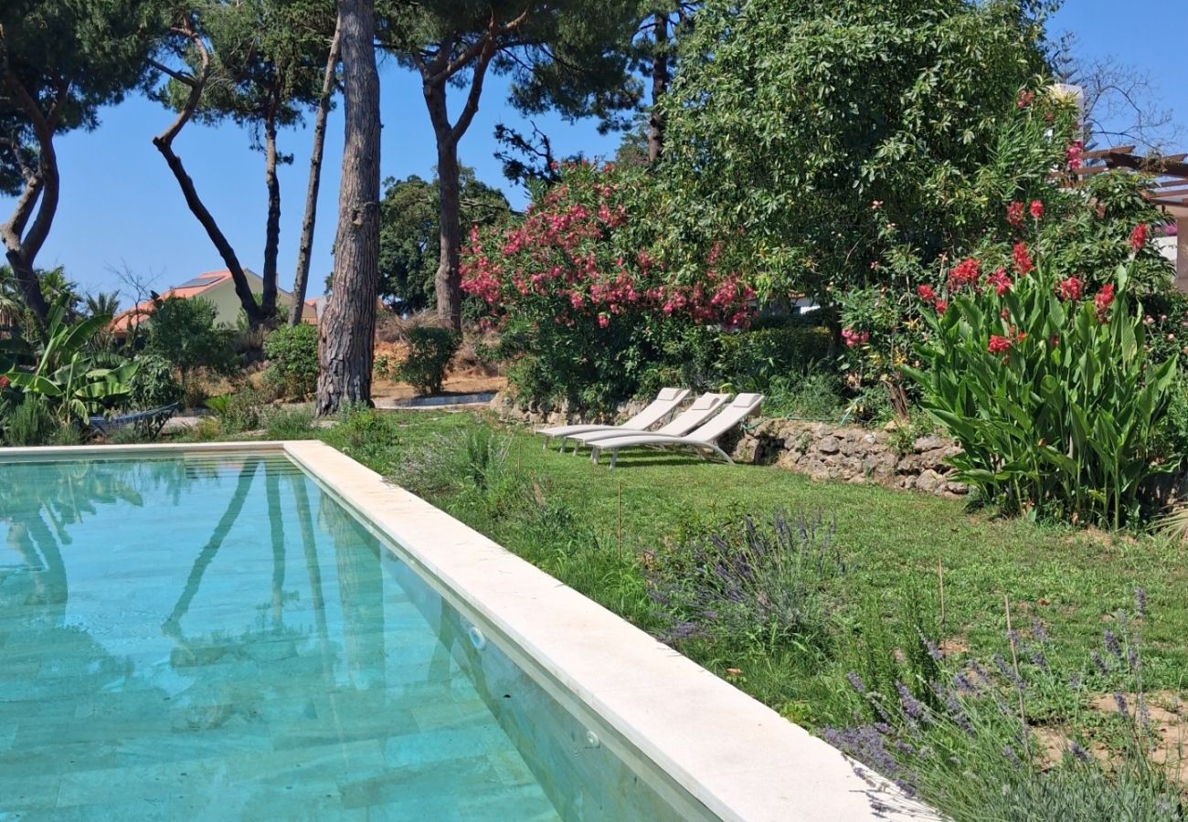 Studio à Azeitão - Studio da Quinta do Ermitage