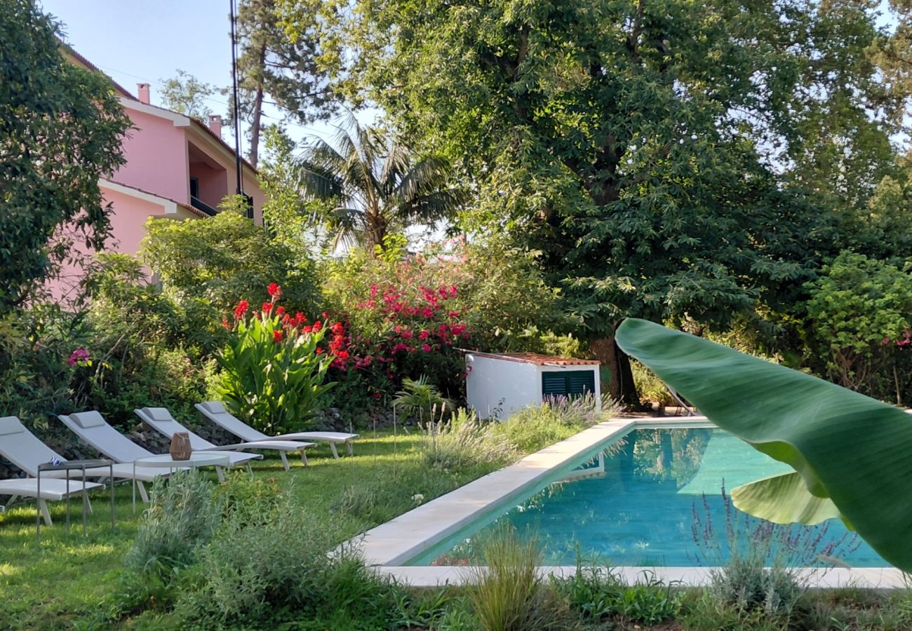 Studio à Azeitão - Studio da Quinta do Ermitage