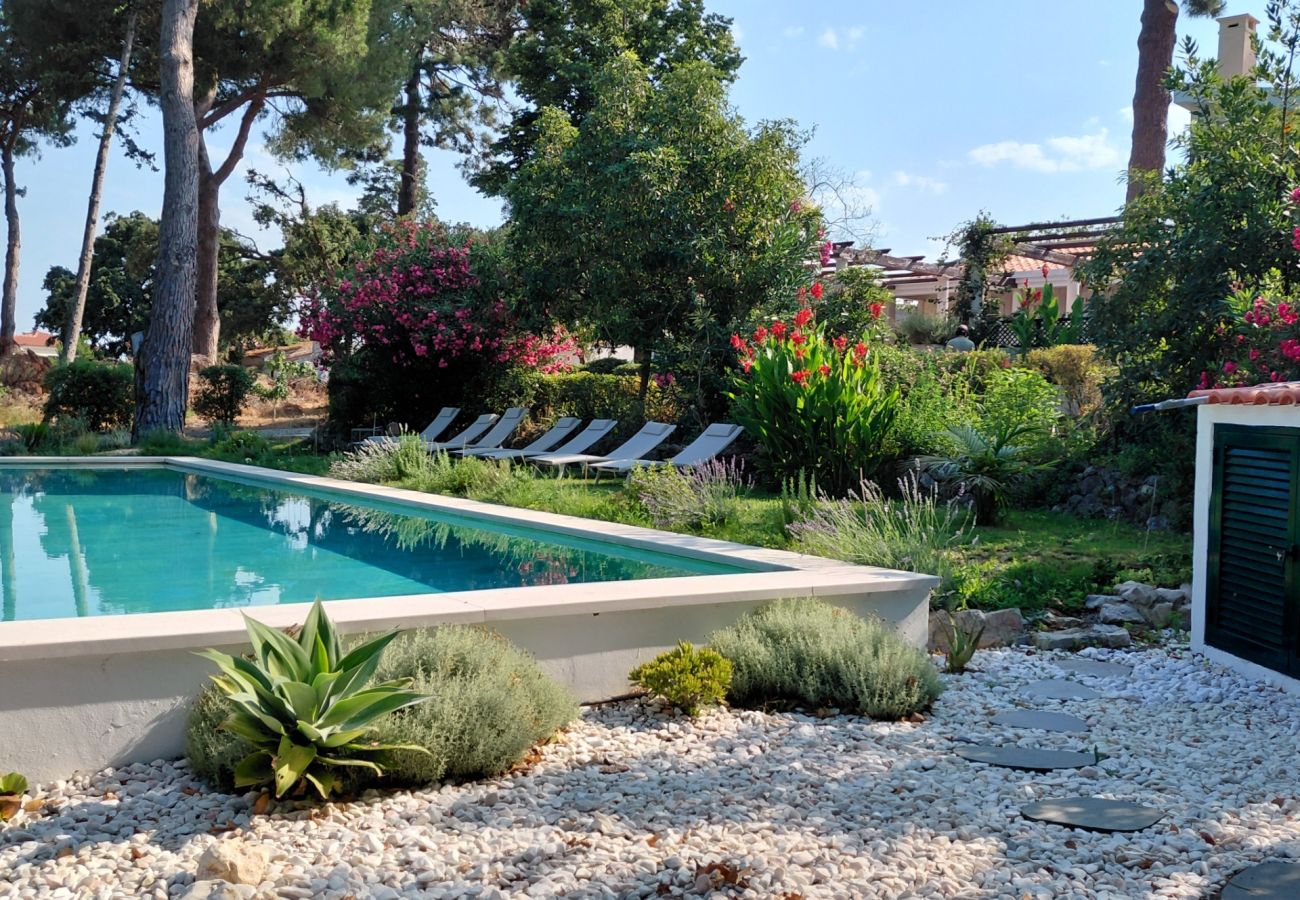 Studio à Azeitão - Studio da Quinta do Ermitage