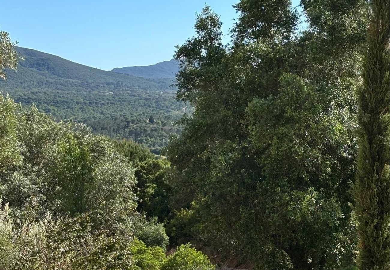 Villa à Azeitão - Quinta da Rampa