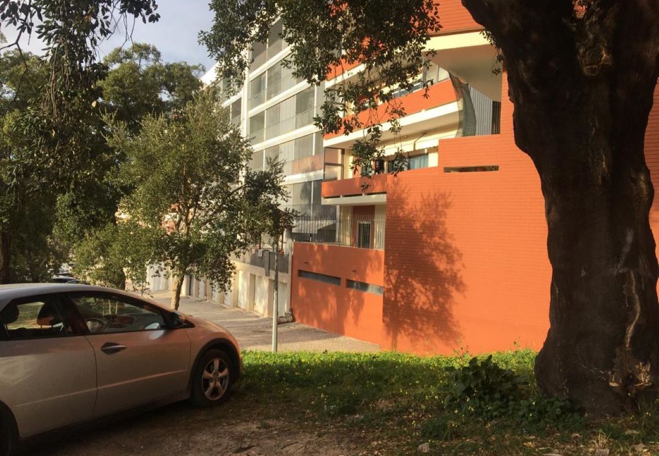 Apartamento em Setúbal - Apartamento T3 Azeda - Setubal Apartamento em Setúbal - Apartamento T3 Azeda - Setubal