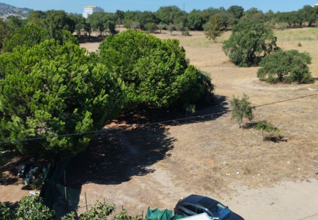 Apartamento em Setúbal - Apartamento T3 Azeda Campo Apartamento em Setúbal - Apartamento T3 Azeda Campo