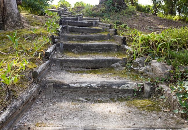 Casa em Azeitão - Quinta dos Pinheiros Mansos - Serra d´Arrábida Casa em Azeitão - Quinta dos Pinheiros Mansos - Serra d´Arrábida