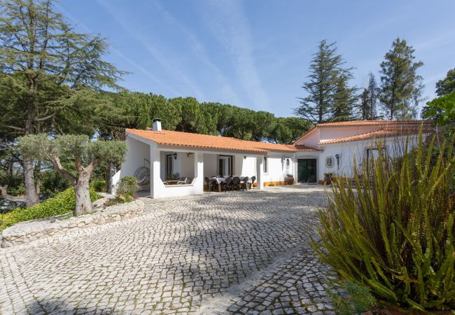 Casa em Azeitão - Quinta dos Pinheiros Mansos - Serra d´Arrábida Casa em Azeitão - Quinta dos Pinheiros Mansos - Serra d´Arrábida