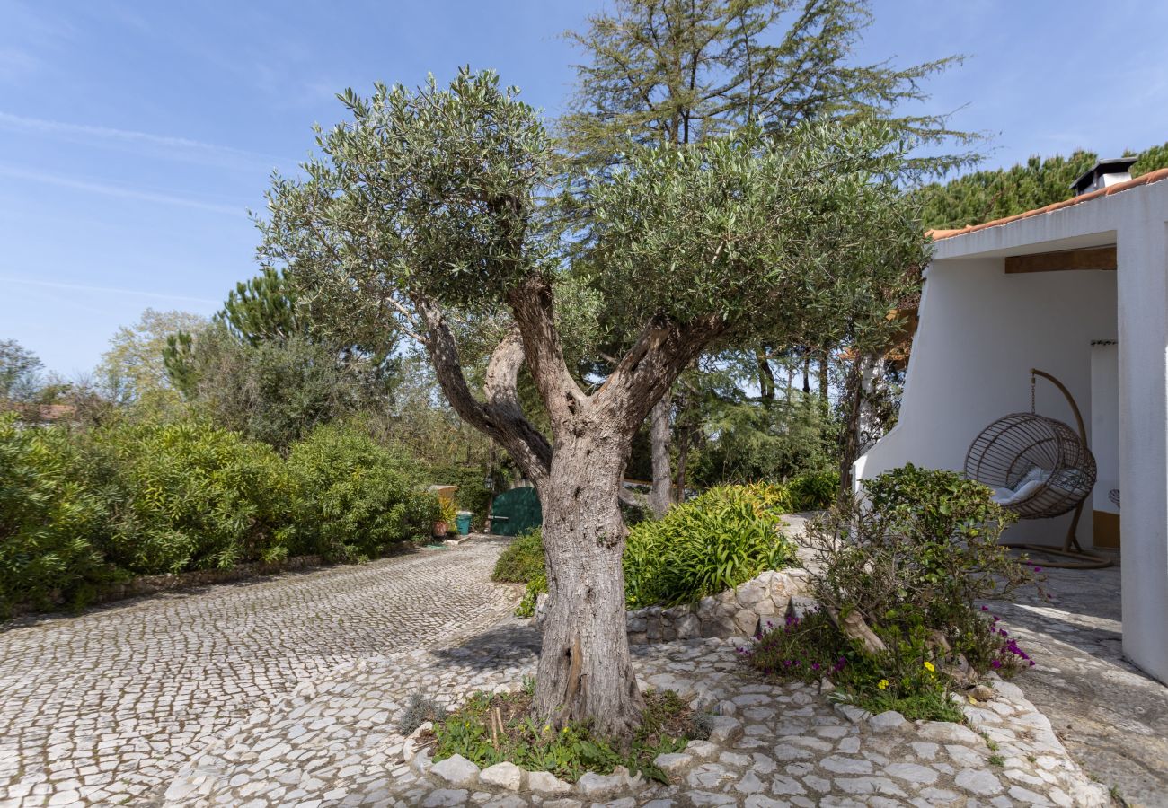 Casa em Azeitão - Quinta dos Pinheiros Mansos - Serra d´Arrábida