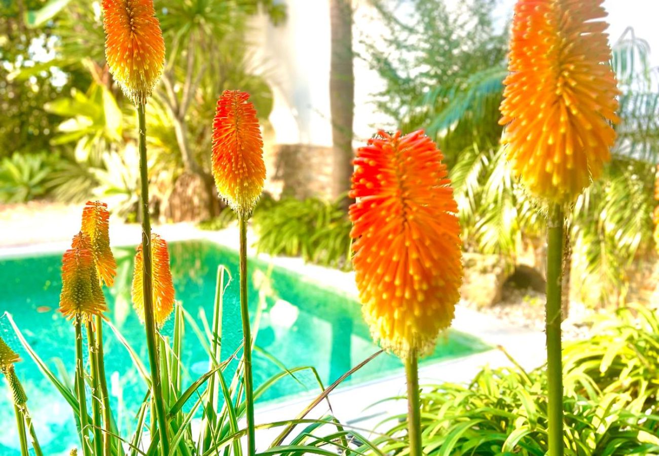 Villa em Aroeira - Cabo Oeste