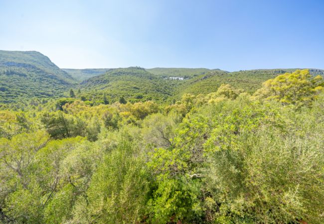 Casa em Azeitão - Casa d'Aroeira Casa em Azeitão - Casa d'Aroeira