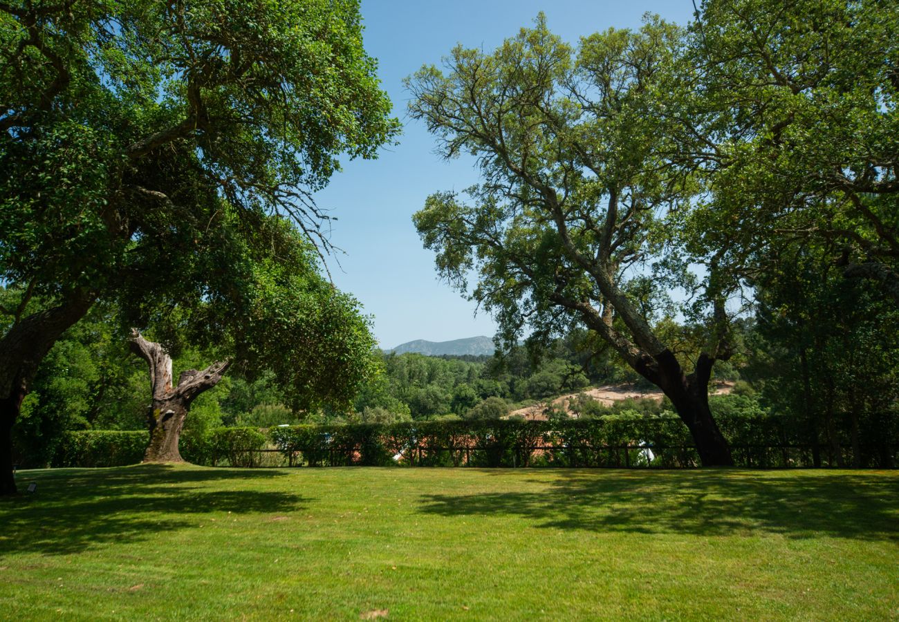 Casa em Azeitão - Quinta das Cabreiras