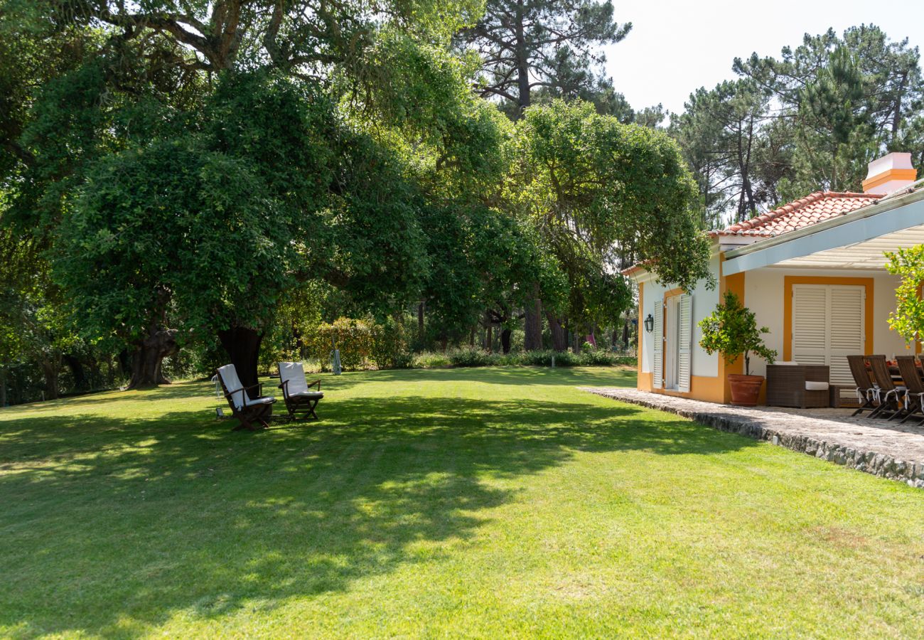 Casa em Azeitão - Quinta das Cabreiras