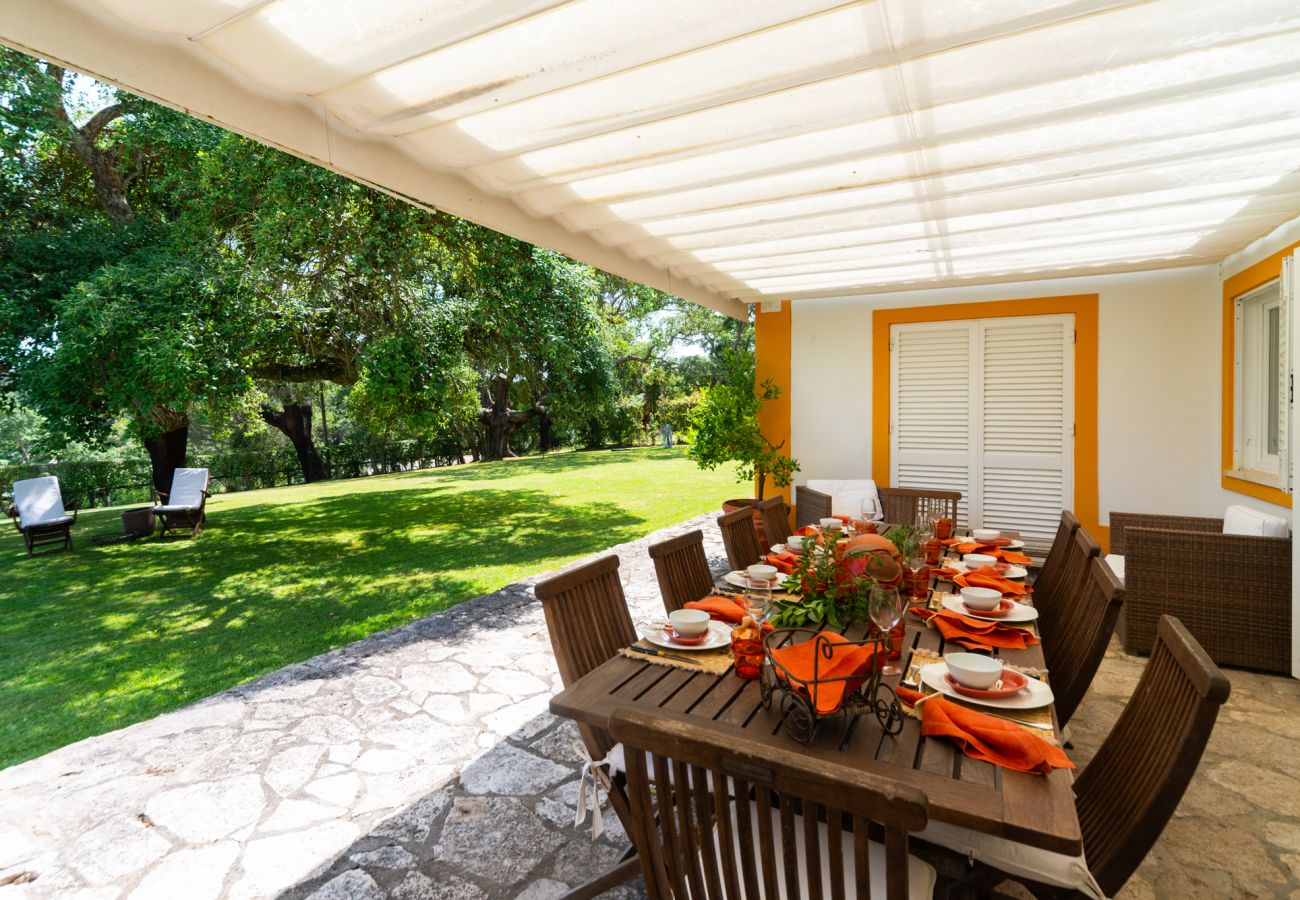 Casa em Azeitão - Quinta das Cabreiras