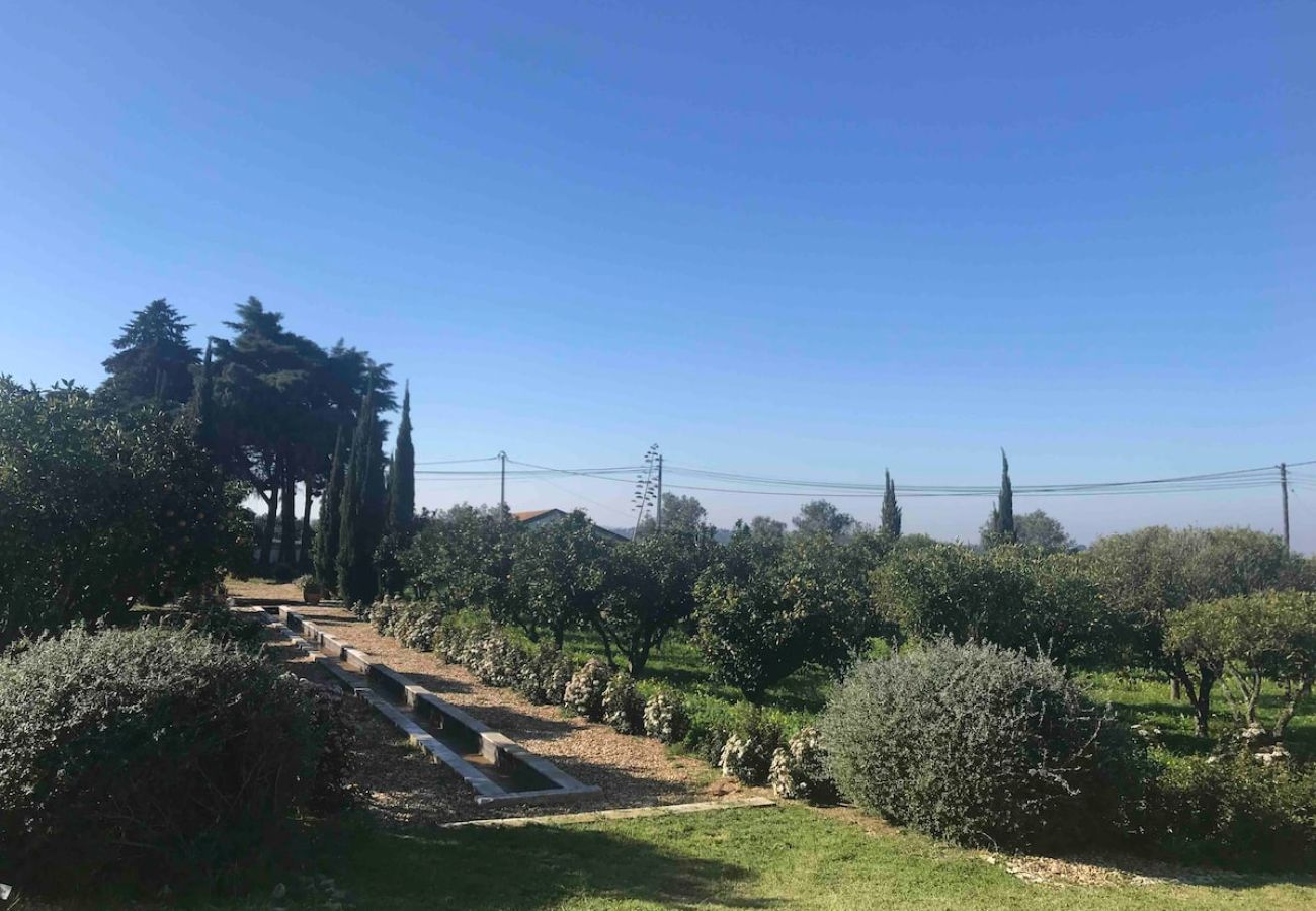 Casa em Azeitão - Quinta Nova