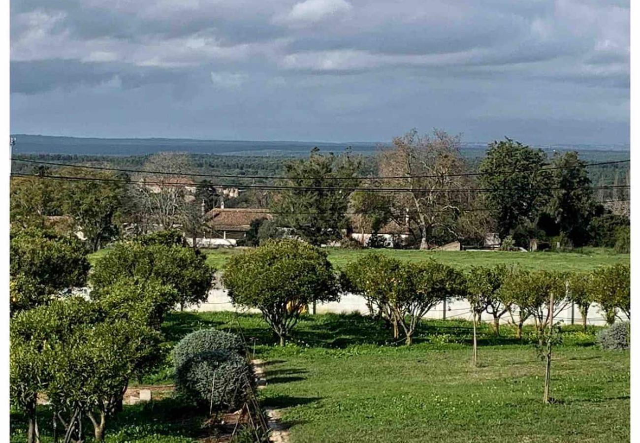 Casa em Azeitão - Quinta Nova
