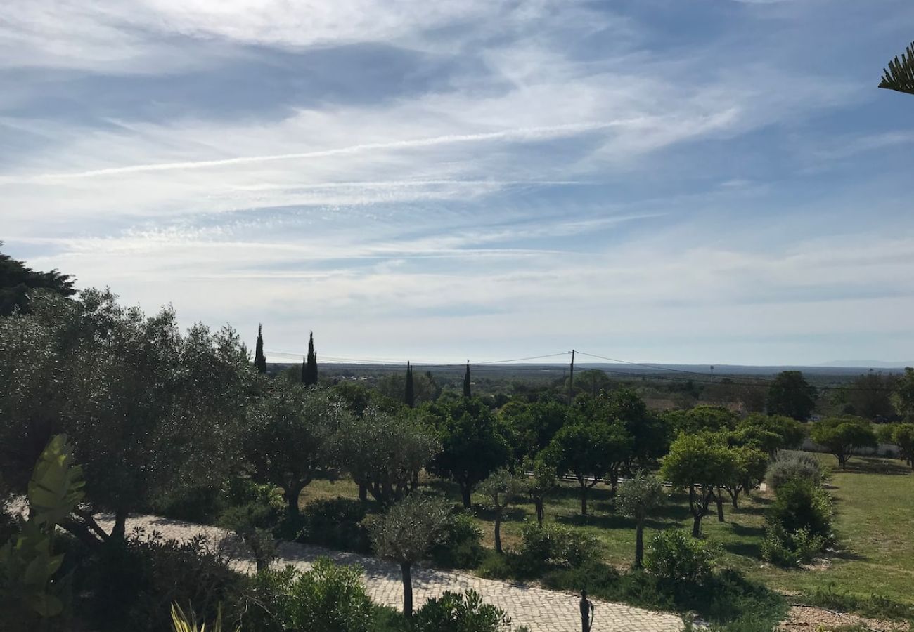 Casa em Azeitão - Quinta Nova