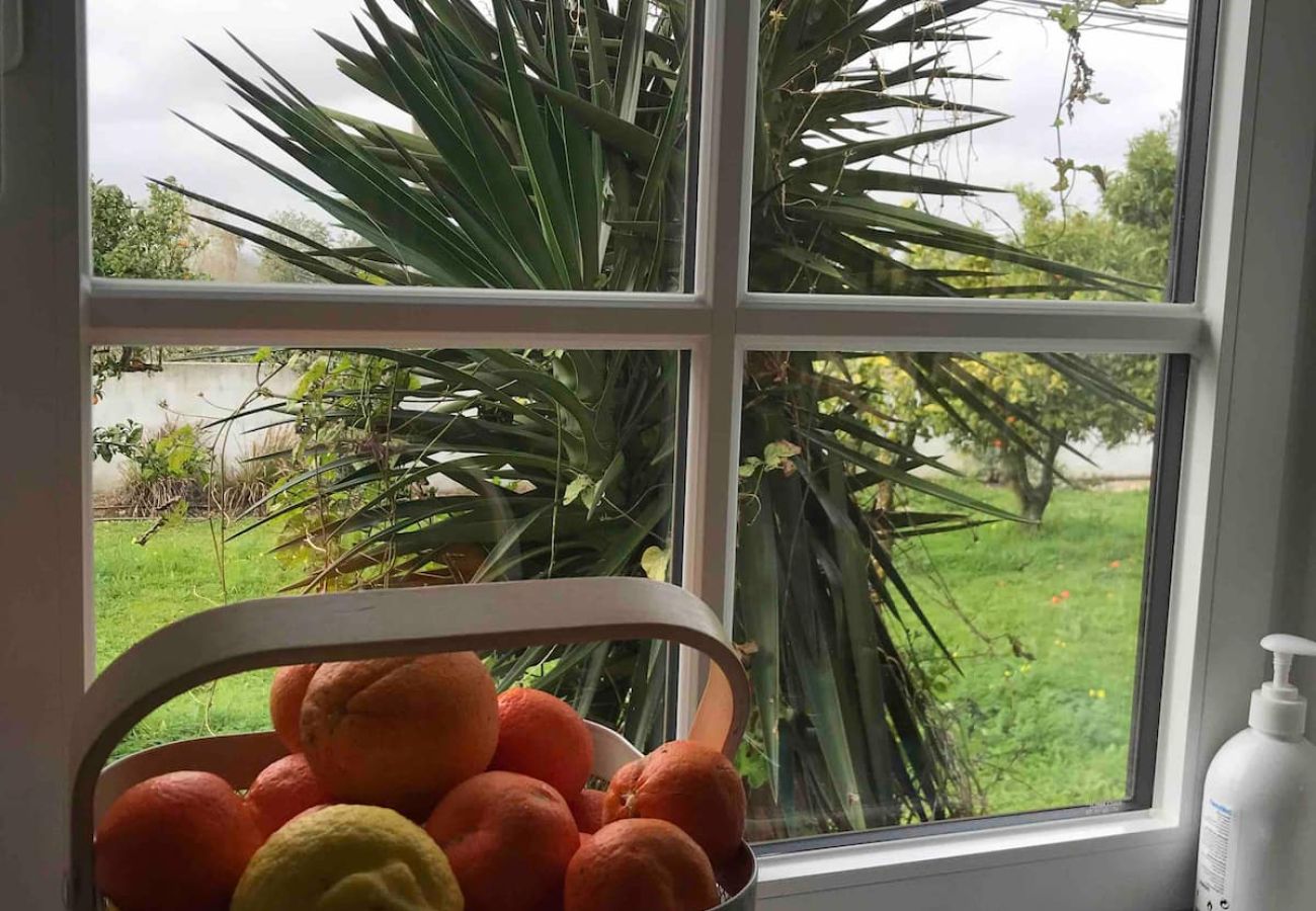Casa em Azeitão - Quinta Nova
