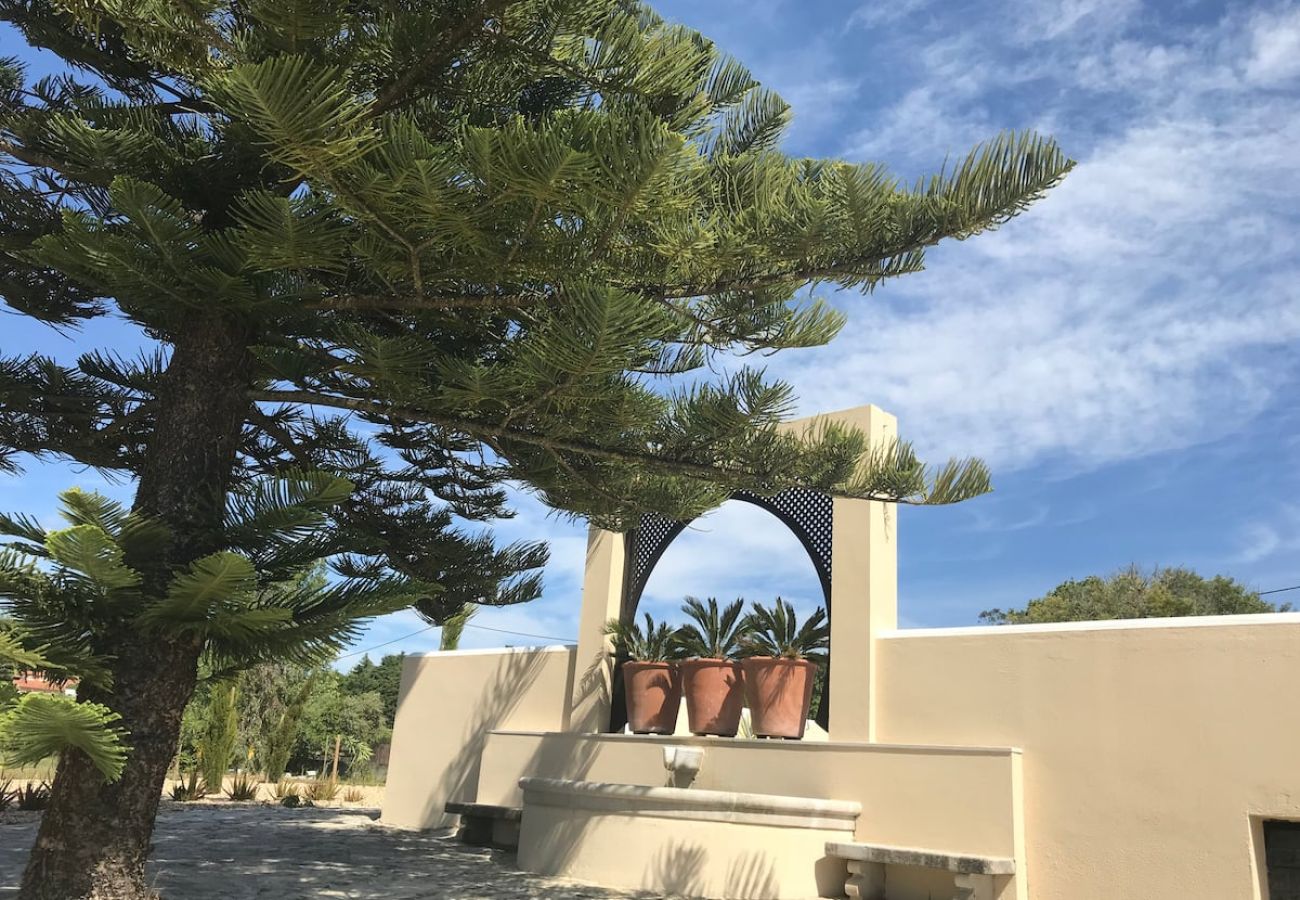 Casa em Azeitão - Quinta Nova