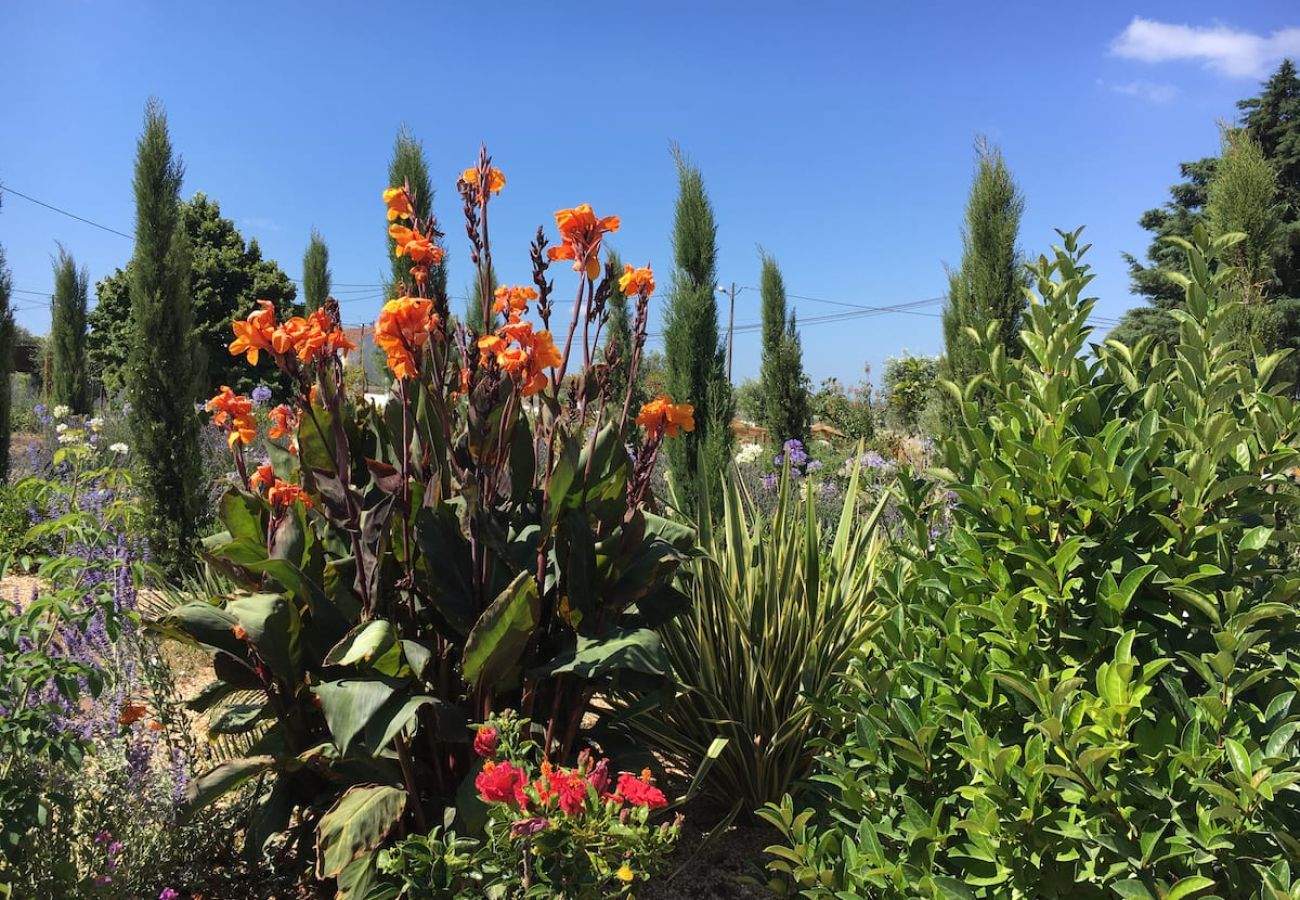 Casa em Azeitão - Quinta Nova