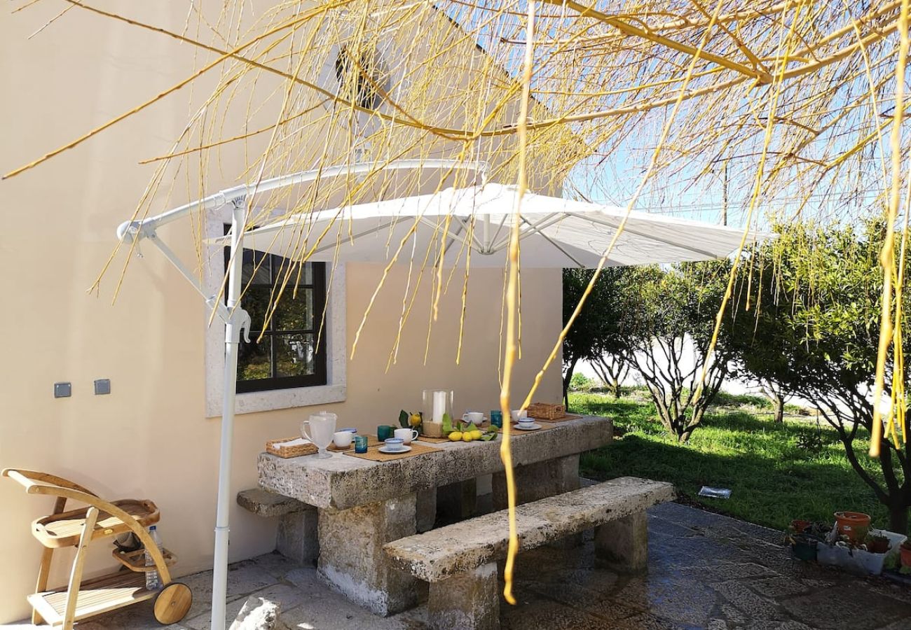 Casa em Azeitão - Quinta Nova