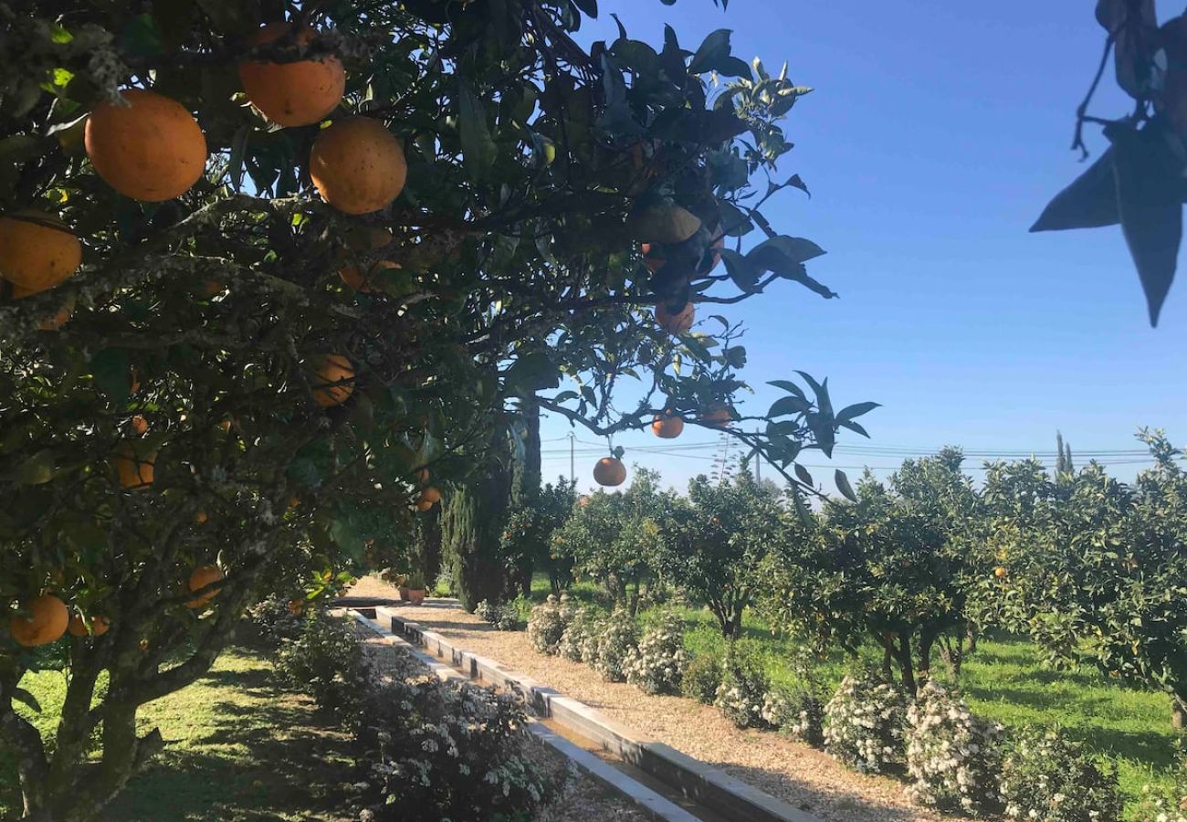 Casa em Azeitão - Quinta Nova